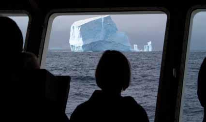 From the bridge or outer decks, our naturalists help you identify wildlife. Excitement grows as icebergs and land appear!