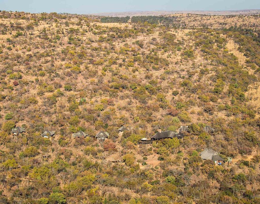 THE LOCATION Surrounded by magnificent rock outcrops, Tshwene Lodge is a secluded oasis in the rugged