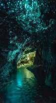 On arrival visit the cave made of Lime Stone; further going down take a boat ride, which takes you inside the cave, where you can see lots of Glow Worms. Have lunch at picnic spot.