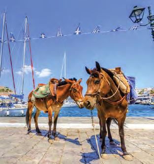 Donkeys and boats are the only form of transportation as automobiles, mopeds and bicycles are prohibited.
