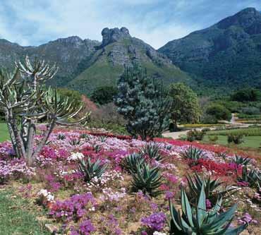 The striking combination of coastal and mountain geography of the famed Cape Peninsula, on which the city is built, makes Cape Town one of the world s most attractive cities.