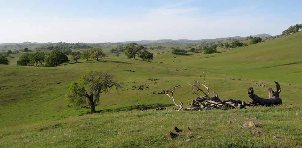 The Double Bar Z Ranch is a spectacular working cattle ranch. It has been run in western ranching traditions for generations dating back to the 1800 s.