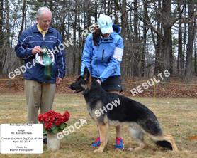 6-9 PUPPY DOGS GSDC Of Southern New Hampshire Specialty, April 13 th 2014; Judge: Ken Tank DOGS 139 BOP TOUCHSTONE-CHEERYO S UPPER DECK DN37457510 07/17/13 Breeder(s): Terry Teed By: