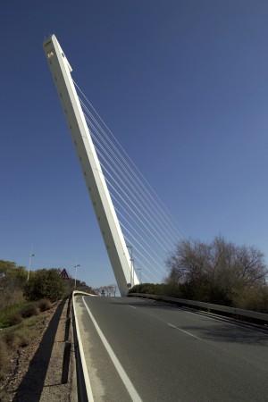 degrees The total length of the viaduct is 5265 m This type is a cable-stayed bridge Rather than use back stays, the weight of the concrete and steel pylon provides a
