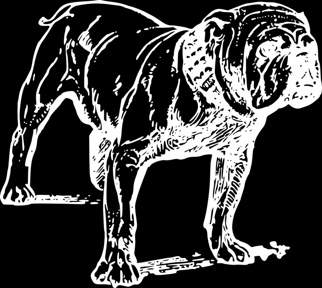 The bulldog is the marine mascot. It is symbolic of the banks building.