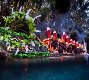Be enthralled by the natural bush setting, see warriors in traditional dress paddle an ancient warrior canoe (waka) down the Wai-o-whiro stream, and see glow worms