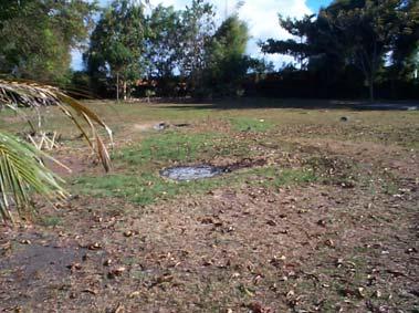 Environmental Impact No land acquisition was occurred at the implementation of project except that of the above mentioned temporary burial ground of a Hindu temple.