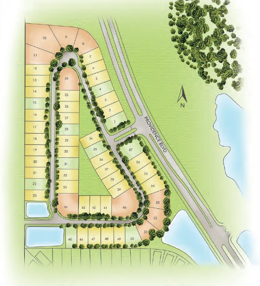 Rosemont Woods Lot Plan