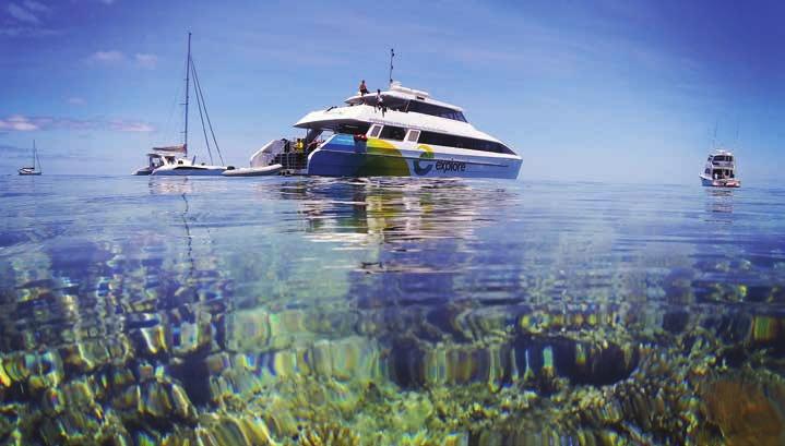 Dive or Snorkel the Great Barrier Reef Inclusions / Full buffet breakfast daily / Full day Great Barrier Reef Adventure with Explore, including buffet lunch, high quality Mares diving and snorkelling