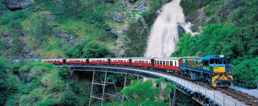 Kuranda Scenic Train See colorful, soaring birds and those prehistoric legends, the big saltwater crocodiles in the Crocoseum. Experience hands-on animal encounters like nowhere else in the world.