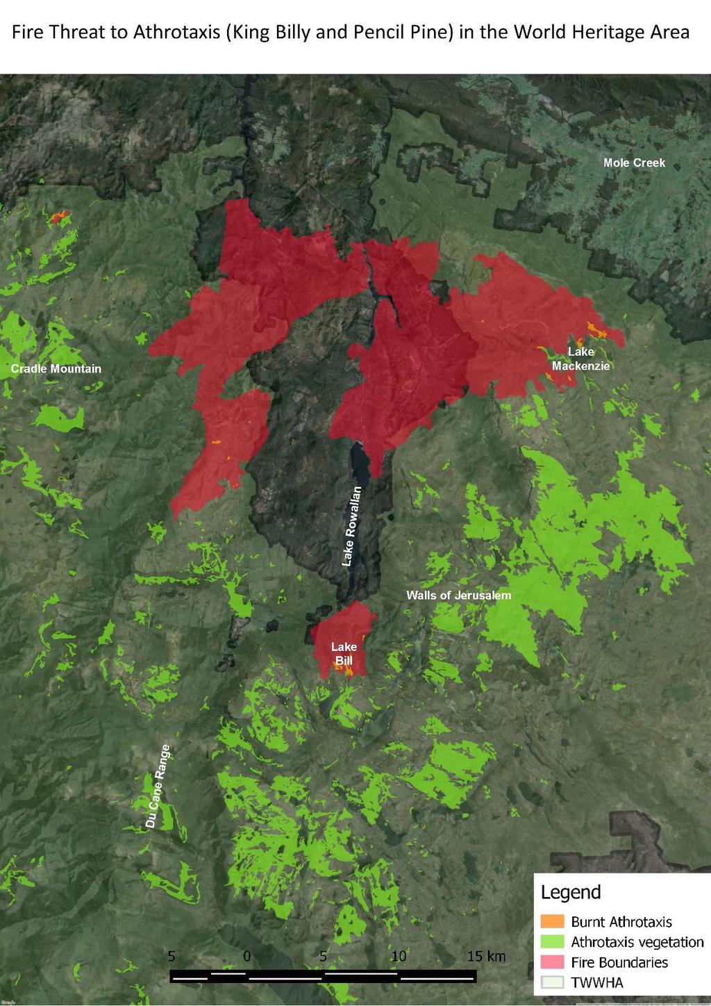 This map shows the proximity of current fires to vulnerable Athrotaxis vegetation within the Tasmanian Wilderness World