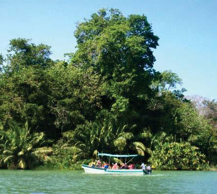 RECOMMENDATIONS: Comfortable clothing, shoes, hat, sunscreen, insect repellent and sunglasses. DAYS AVAILABLE: Tuesday, Thursday, Saturday and Sunday DEPARTURE: 8:00 a.m. RETURN: 4:00 p.m. ANTON VALLEY At a 90-minute distance from Panama City, in the Antón Valley, lies a picturesque village in the crater of an extinct volcano.