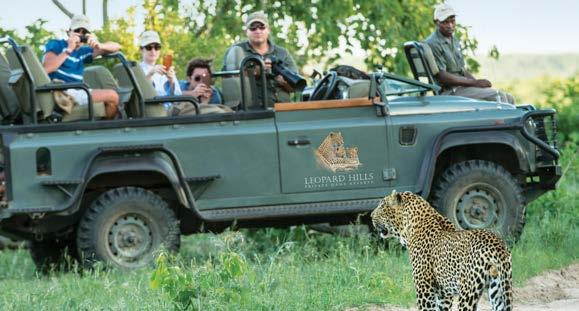 ACTIVITIES The Reserve comprises over 10,000 hectares of incredibly diverse ecosystems making Leopard Hills the ideal destination to view plentiful game in its natural habitat.