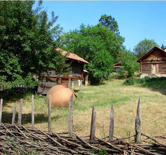 The Open Air Museum was founded in 1966.