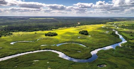 Later you can embark on an exciting journey through the Biebrza meadows and marshes. Would you like to watch closely the migrating birds? Can you pick the right herbs by yourself?