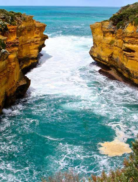 Our Tours... 1 Day Tours $109 $99 $119 $115 Great Ocean Road 1 day tour Great Ocean Road Sunset Tour!