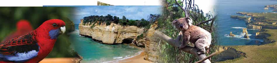 London Bridge or Gibsons Steps - Enjoy a short walk to one of these spectacular rock formations Loch Ard Gorge Towering limestone cliffs, and amazing shipwreck tales 12 Apostles View the beautiful