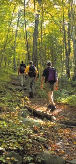 Afterword O ntario is fortunate to have an outstanding network of diverse and attractive trails.