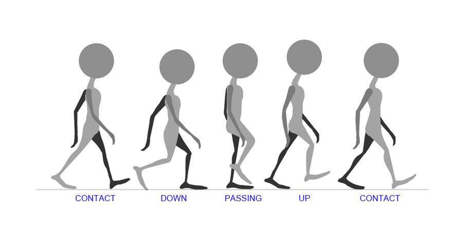 Ilustracija 1: 5 ključnih poza kod ljudskog hoda (izvor: https://jimi3d.wordpress.
