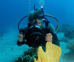 Good visibility and lack of current means Taba s waters offer an excellent environment in which to learn to dive and also provide hassle-free conditions for underwater