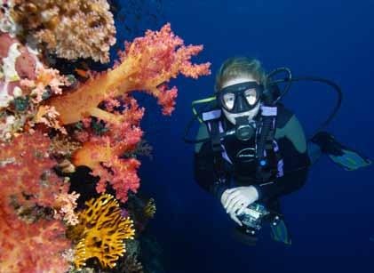 The world famous Ras Mohammed National Park is located at the very tip of the Sinai Peninsula where deep water upwellings generate incredible coral growth, particularly on the signature sites of
