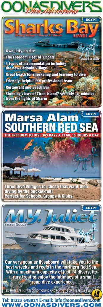 Red Sea Briefing: Nuweiba BLUE News Special Offers - Nuweiba.