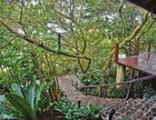 All 53 suites are spacious and feature two terraces with impressive views of Arenal Volcano and the