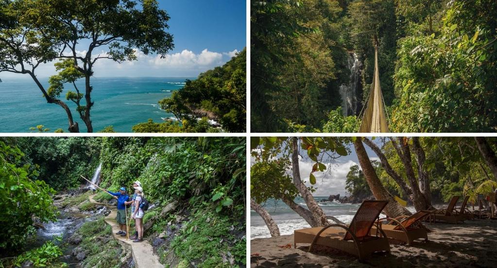 Day 08 Day at leisure. MANUEL ANTONIO Costa Rica is famous for its flora, fauna and wildlife and Arenas Del Mar is the perfect base from which to explore Costa Rica s natural treasures.