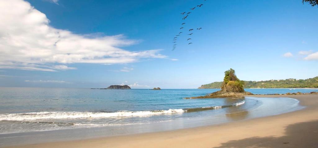 The views from the hills overlooking Manuel Antonio are spectacular, the beaches are idyllic, and its jungles are inhabited by howler, white-faced, and squirrel monkeys, two and three toed sloths,