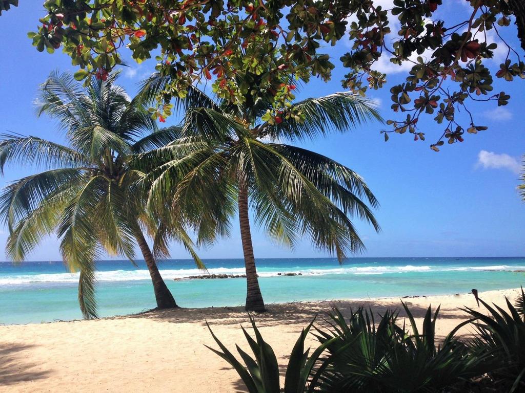 BRIEF Welcome to Barbados' newest four-star all-inclusive beach resort, Sugar Bay Barbados.