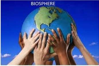 Global Status of Biosphere