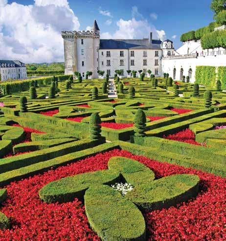 Enjoy a stop at riverside Amboise Explore the gardens of Château Villandry Stop in Saumur, famous for its castle AUTHETICALLY ALBATROSS It was once said that if all the châteaux of the Loire were