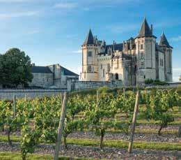 well as some of their suitors Amboise, Langeais, Chinon and Fontevraud. Uniquely Albatross! See Days 6 to 9. DAY 7 After a leisurely start, we make our way to the city Tours.