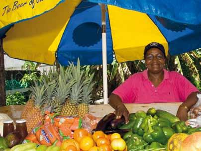 On Bequia one takes a step out of the hectic pace of the world, the pace of life is slower and
