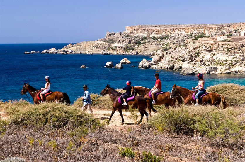Horse riding SAMPLE ATTRACTIONS FOR GROUPS The below listed activities present some of many possibilities