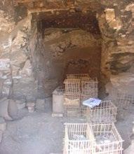 QV 95 is an unfinished 20 th Dynasty chamber tomb located within the Deir er- Rumi complex.