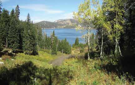 Eastern Sierra Region Spooner Park Humboldt-