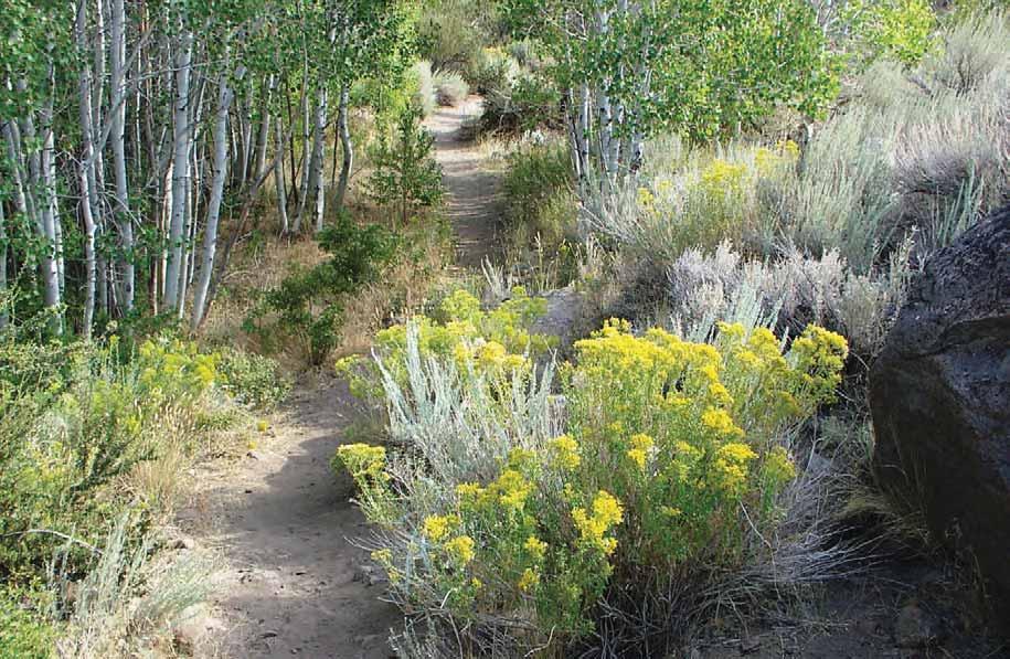 Leave no trace: Trail etiquette Every trail user has the responsibility to keep trails safe and enjoyable for all, and to protect our