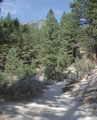 Directions: The park is.5 miles west of Old U.S. 395, on Davis Creek Park Road.