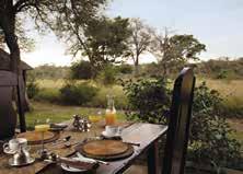 the tranquillity of the African bush.