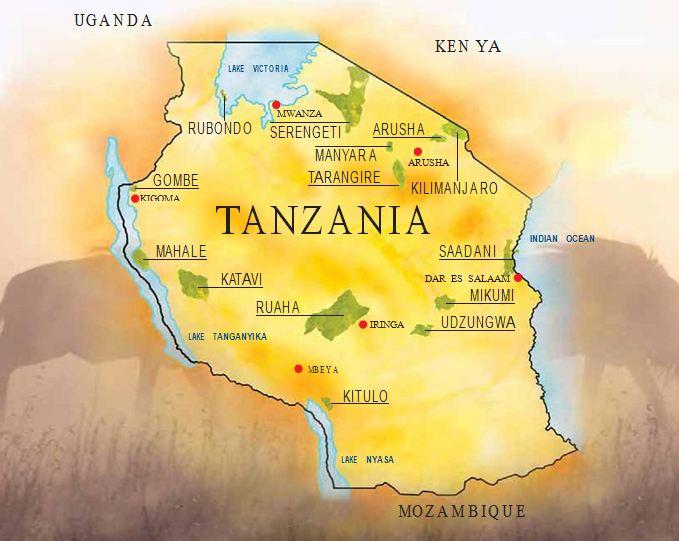 On Safari, how to book and when to go Let vew Tanzania Company was established in Tanzania,. The aim was to create self-employments to dedicated founders and other individuals.