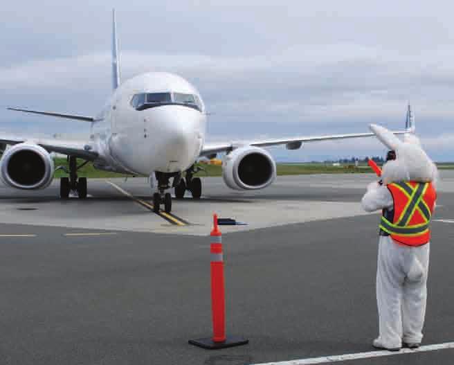 (the chocolate distributor formerly known as The Easter Bunny ) was a natural, according to Fred Bigelow, CEO of the Comox Valley Airport. It appears that E.B. was looking to expand on the experience section of his Linked-In profile.