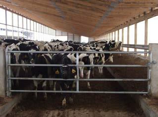 Galvanized Gates Sikkema Select galvanized gates for cattle