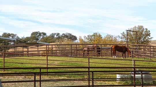 square foot foreman s home, pool, hot tub, tennis courts, multiple barns, shop, and extensive horse