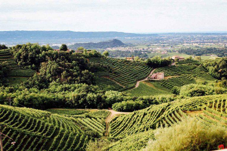 SUN, MAY 27 DAY 1 VERONA Land at the Verona Villafranca Airport, and meet your Travel Director. Take a private transfer to the hotel, which is also a wine estate and farm.