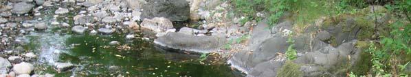 HHC2: Located on Horse Hill Creek about 3 ft upstream of