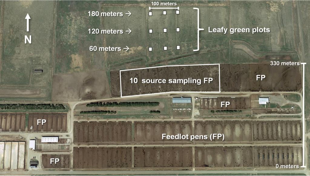Berry et al. Downloaded from http://aem.asm.org/ FIG 1 Google Earth image of the feedlot, showing the locations of the 9 leafy green plots sited 60, 120, and 180 m from the north edge of the feedlot.