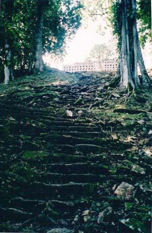 Uspon ka Velikom Akropolisu, Yaxchilan, Meksiko Stoljetna stabla su pruzila svoje korijene preko stepenica, ali se moze zamisliti grandioznost ovog mjesta u doba kada je Grad bio na vrhuncu svoje