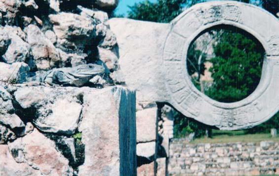 Prsten na igralistu Uxmal-a, Yucatan,Meksiko U nekim slucajevima prstenovi su sami dio kamenih statua koje prikazuju glavu serpenta; drugim rijecima prstenovi imaju uloga ociju za bozanstva koji