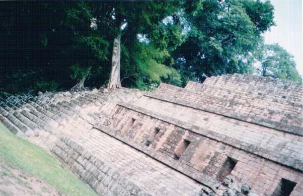 Stabla na stepenicama piramida, Copan, Honduras Zvjezdani putnici (5) Avgust 2003. Copan, Honduras Nakon napornog dana vracam se u gradic. Kombinacija asfalta, kaldrme i zemljanih, prasnjavih ulicica.